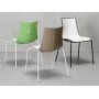 Chaise Zebra 4 Bicolore | In&Out Mobilier