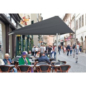 Offset Palm Parasol