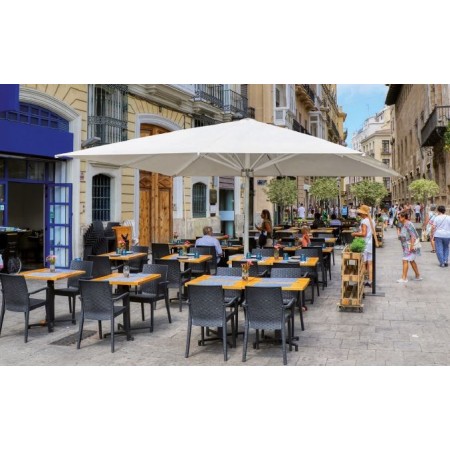 Parasol Palma