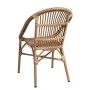 Barbados Atlas Armchair
